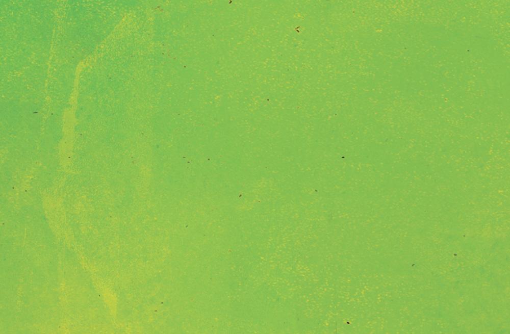 NEW 2 for $5 El Goal-Azo Tacos