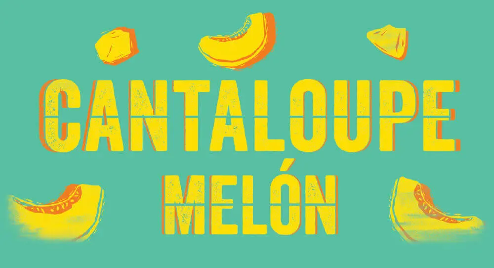 Cantaloupe Melón