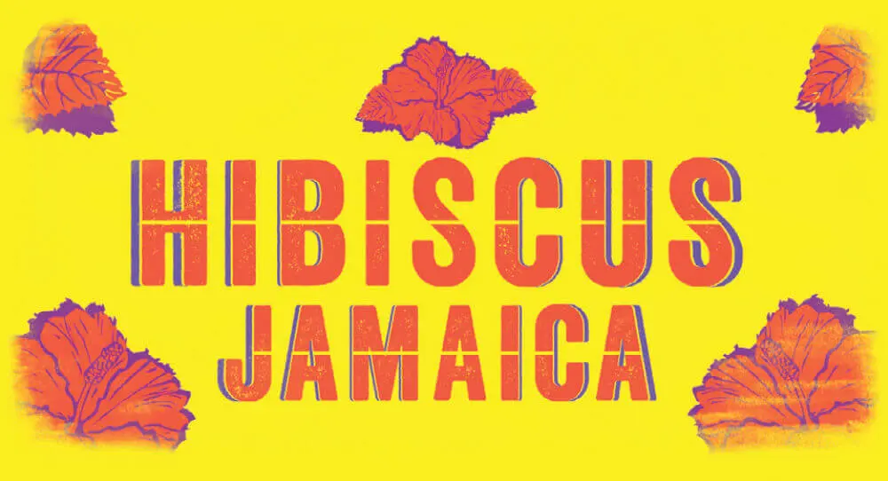 Hibiscus Jamaica